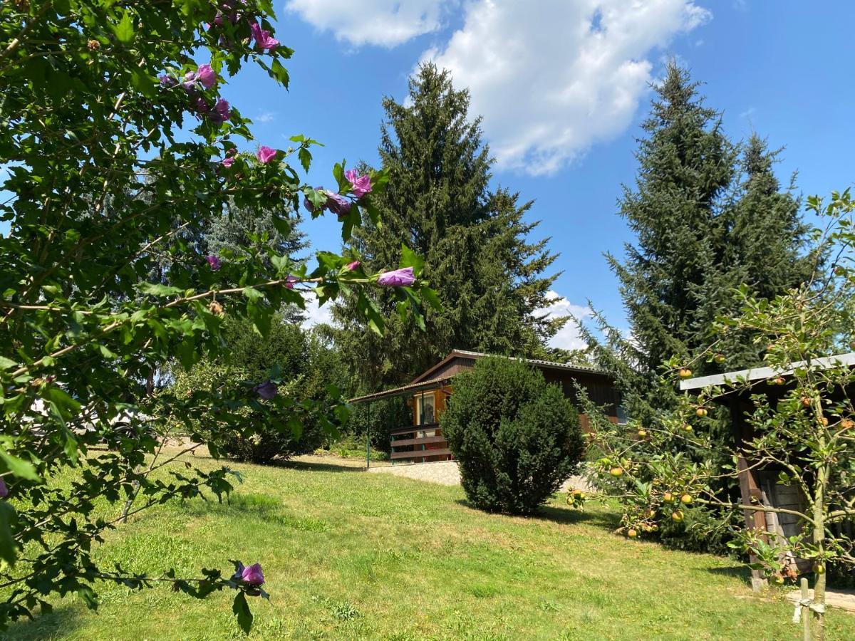 Waldfrieden Bungalow Garnsdorf Extérieur photo